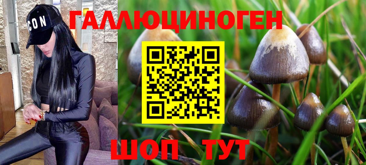 Псилоцибиновые грибы Magic Shrooms  Псилоцибиновые грибы Magic Shrooms  Вход с VPN  Ефремов 
